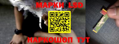 шишки Ставрополь